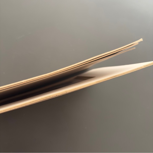 Vintage Reproduction Vault of the Sistine Chapel Artwork Matted Print Women Bust - Picture 3 of 13